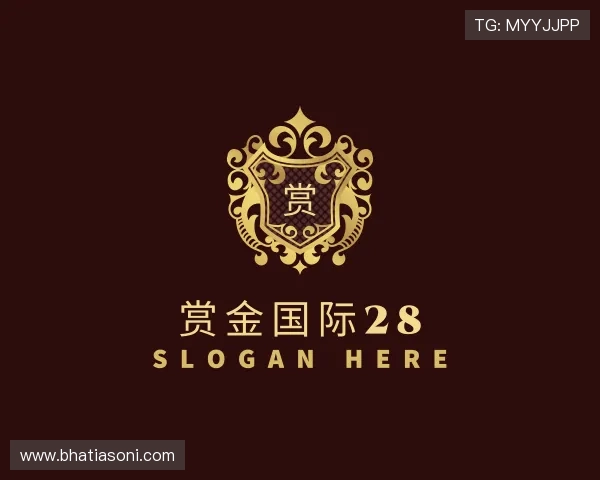 关于赏金国际28